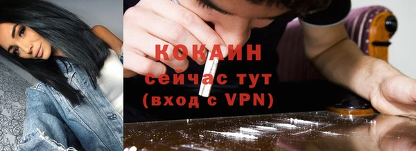 эйфоретик Бородино