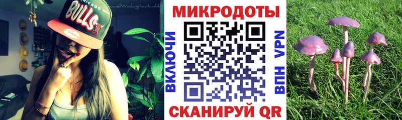 Псилоцибиновые грибы Cubensis  Тверь 